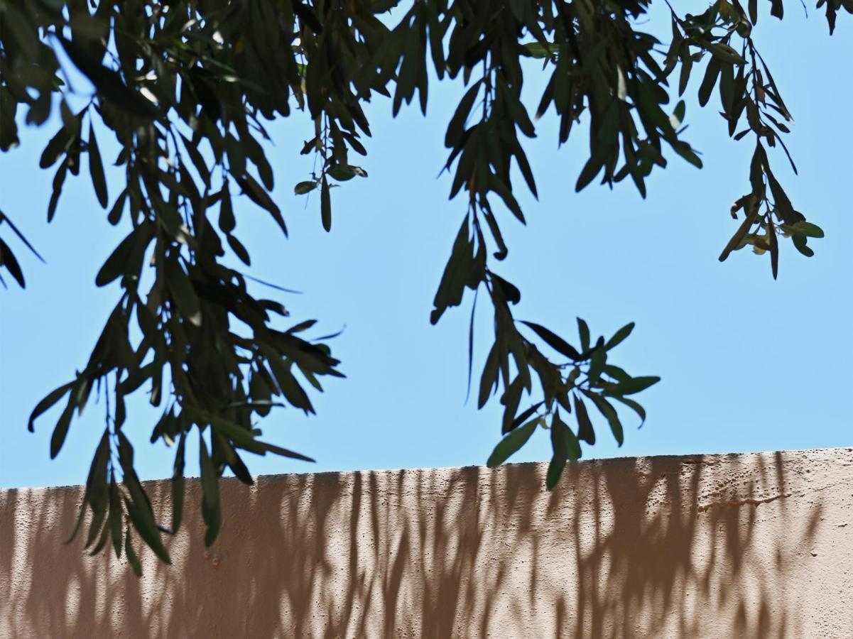 Escape to Luxury at Cape Sounio Grecotel Exclusive Resort